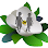 Magnolia Pediatric Therapy - Panama City