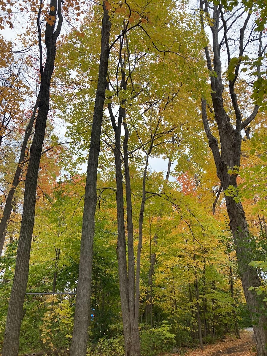 Maplewood Park, photo 3