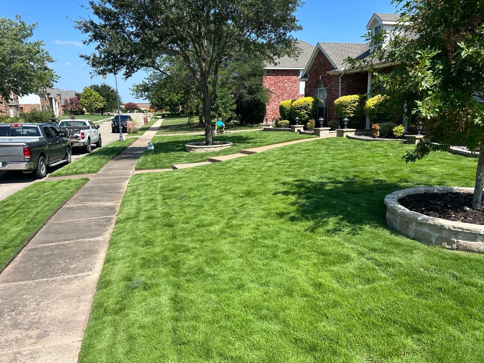 Grass DFW • SOD Wholesale in Dallas, photo 2