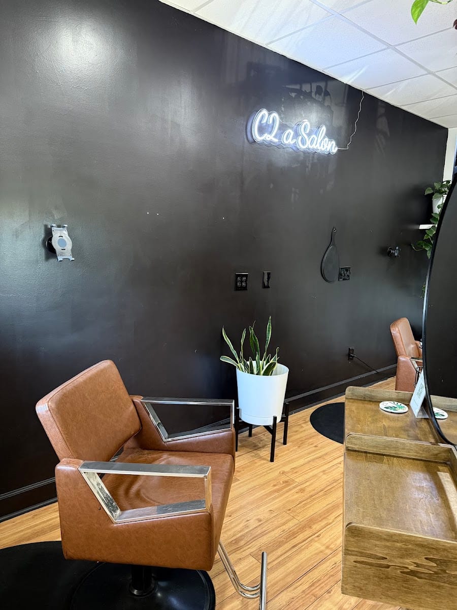 C2 a Salon, photo 2