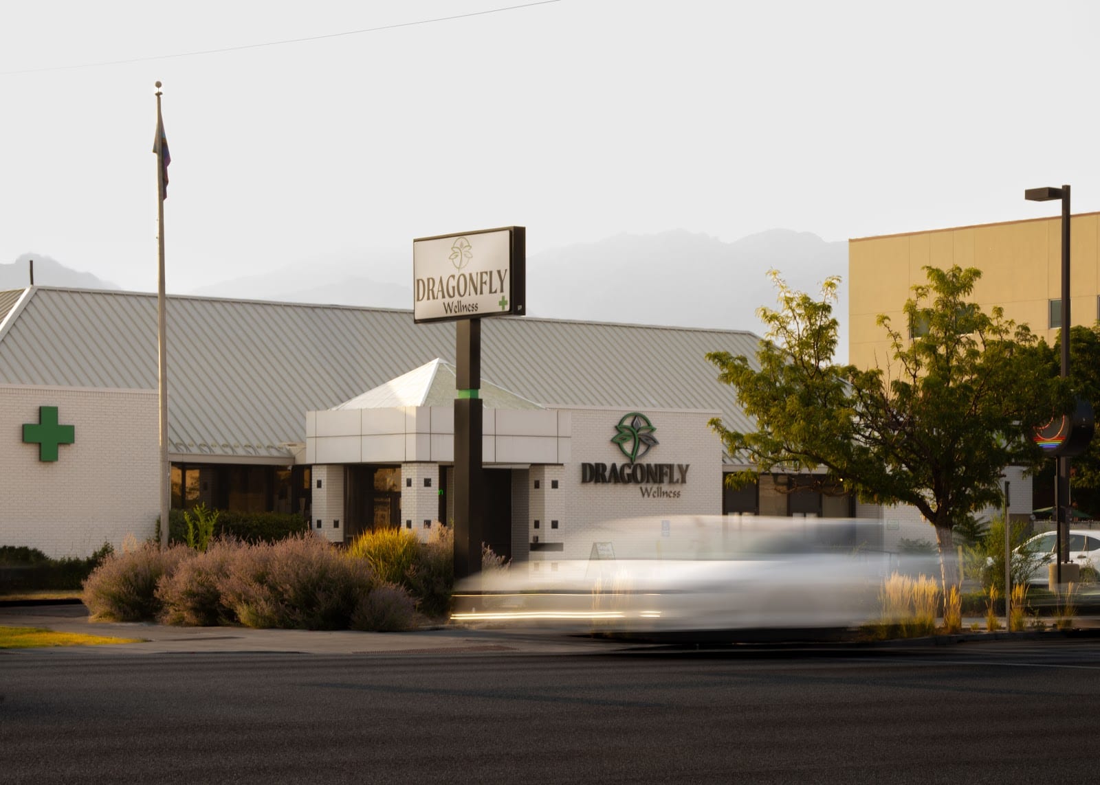 Dragonfly Wellness - Medical Cannabis Pharmacy, photo 2