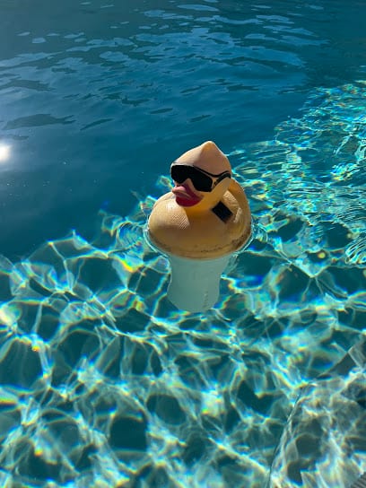 Sharky's Pool Service