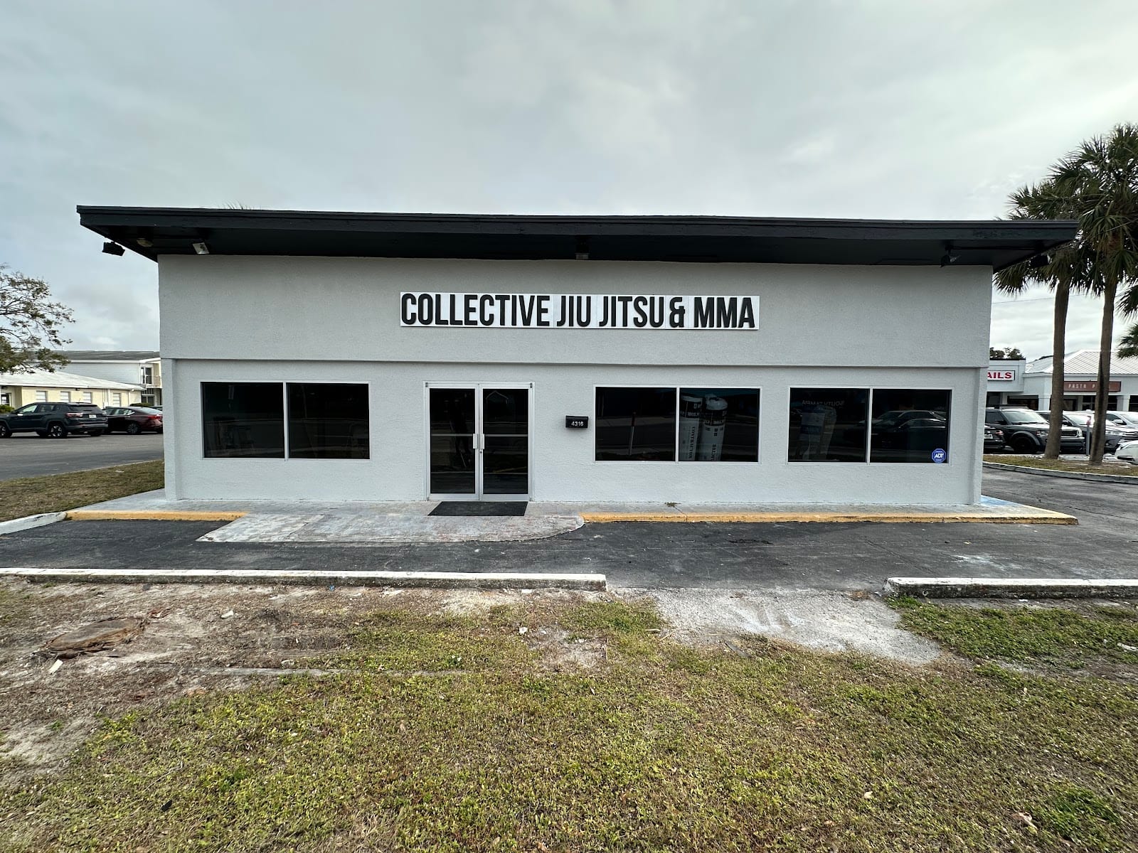 Collective Jiu Jitsu & MMA, photo 2