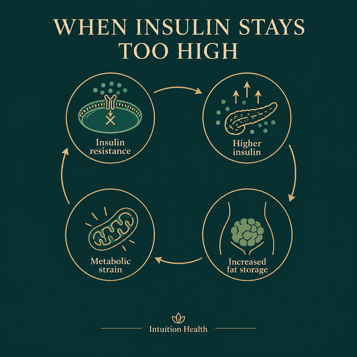 Intuition Health Sports Medicine and Wellness
