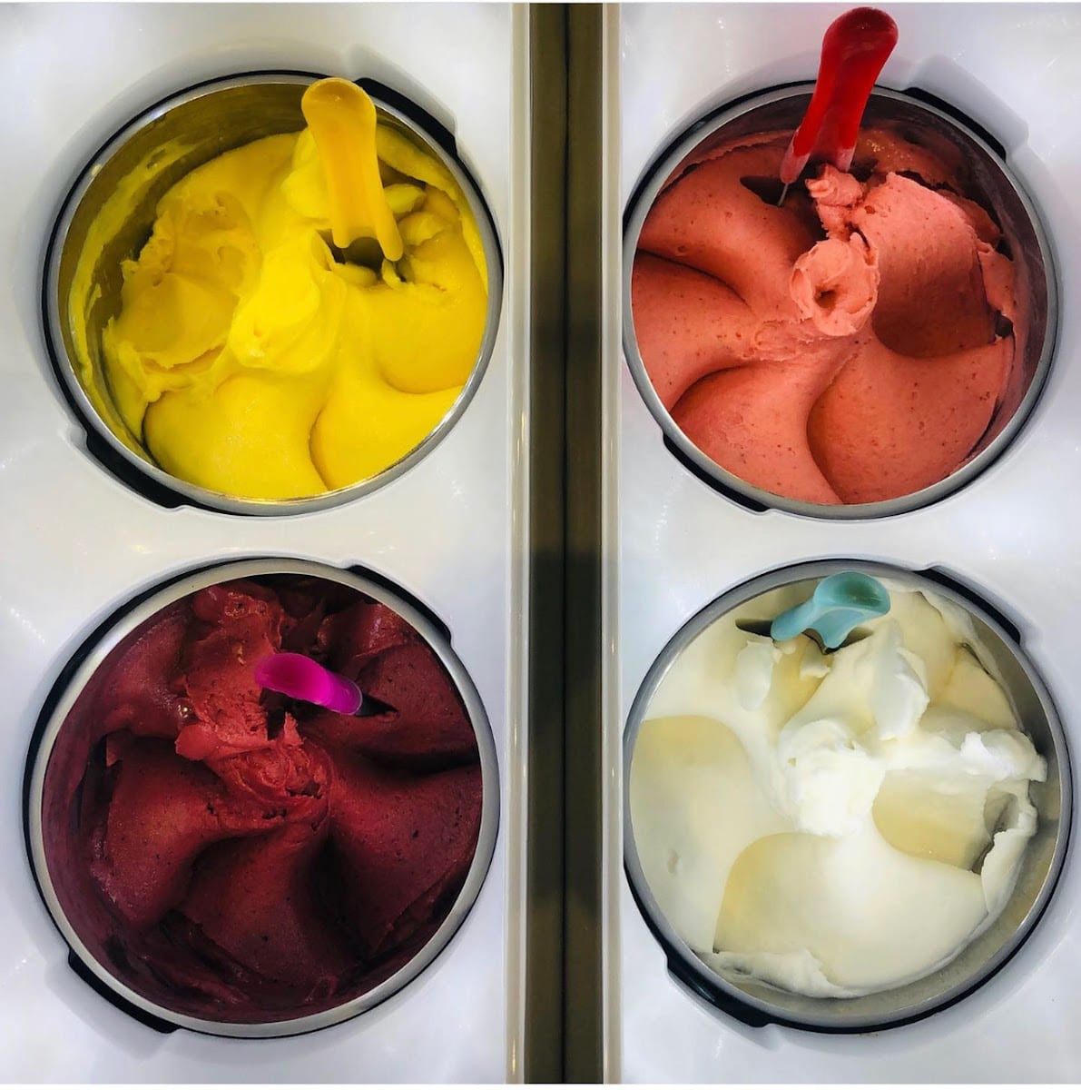 Gelato-go Sarasota and Coffee