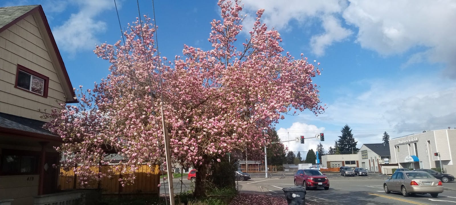 Windermere Real Estate/Olympia, photo 3