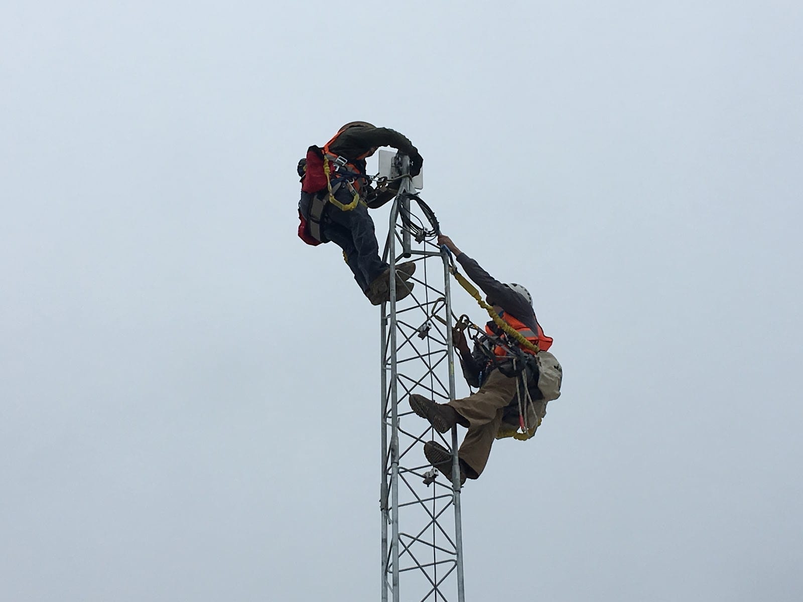 Steele Tower LLC
