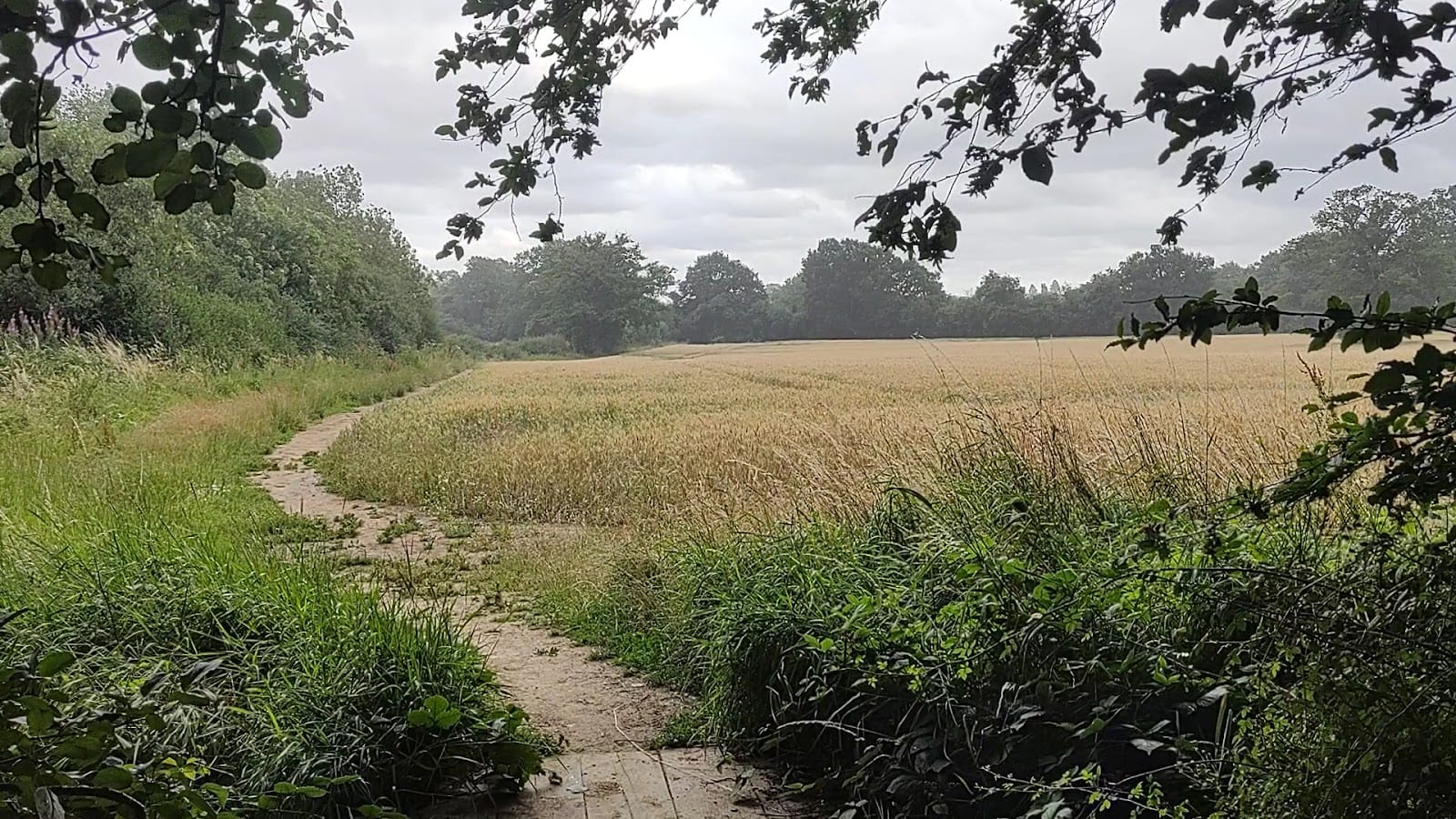 Highfield Park, photo 2