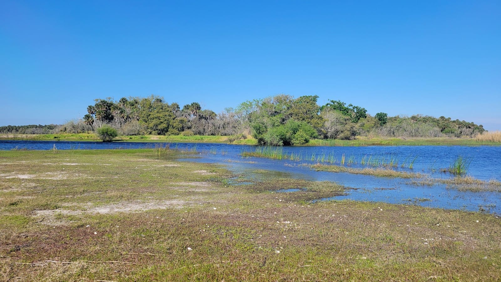 Myakka River State Park Campfire Circle, photo 3
