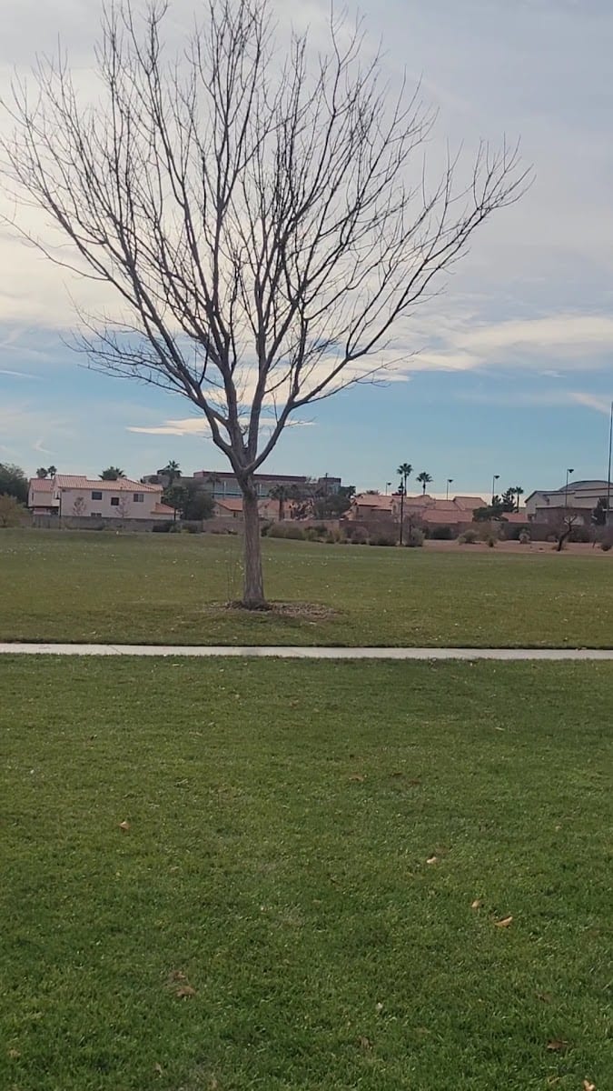 Pioneer Park, photo 2
