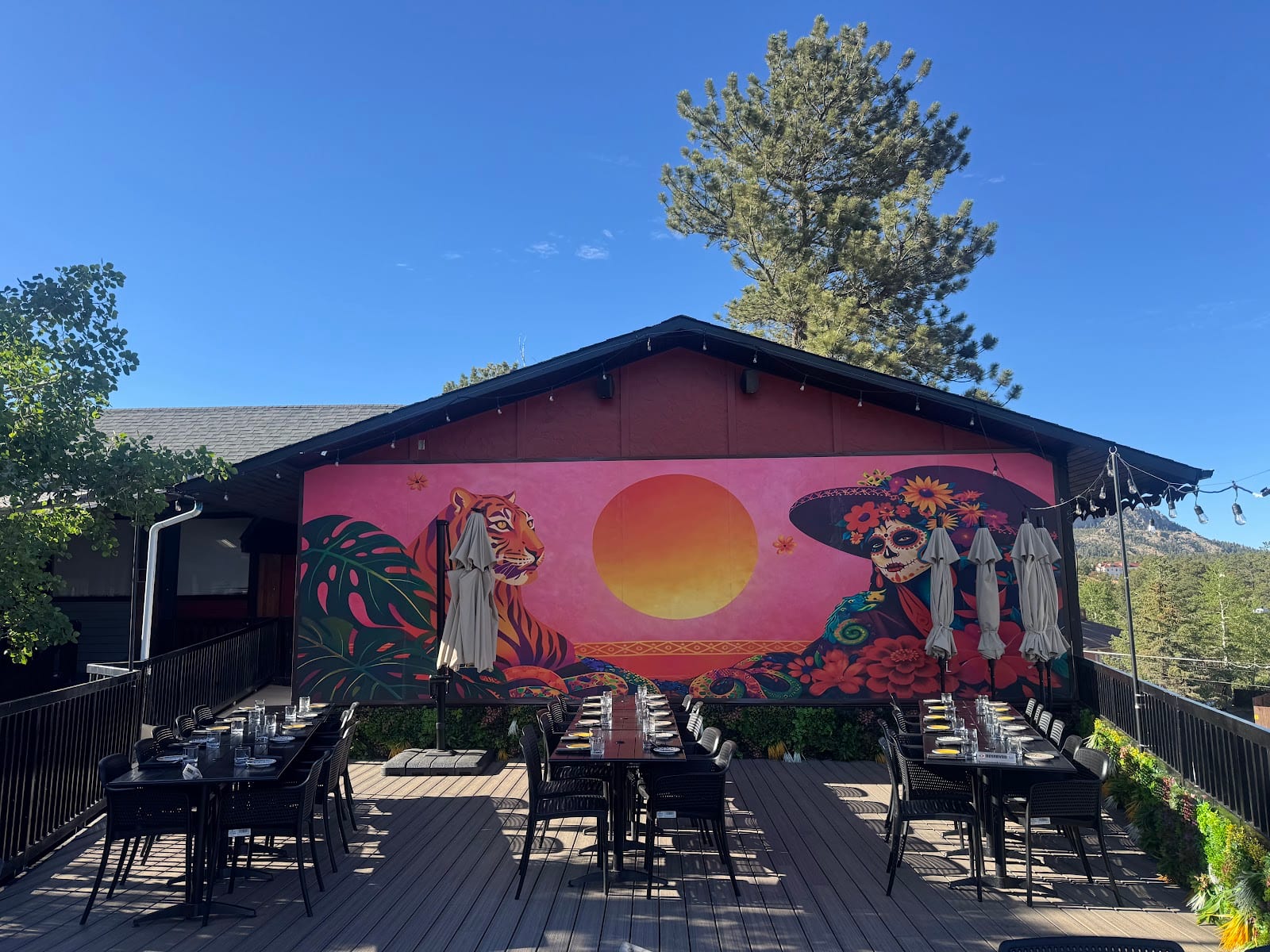 SOLE Rooftop Cantina & Tequila Bar, photo 4