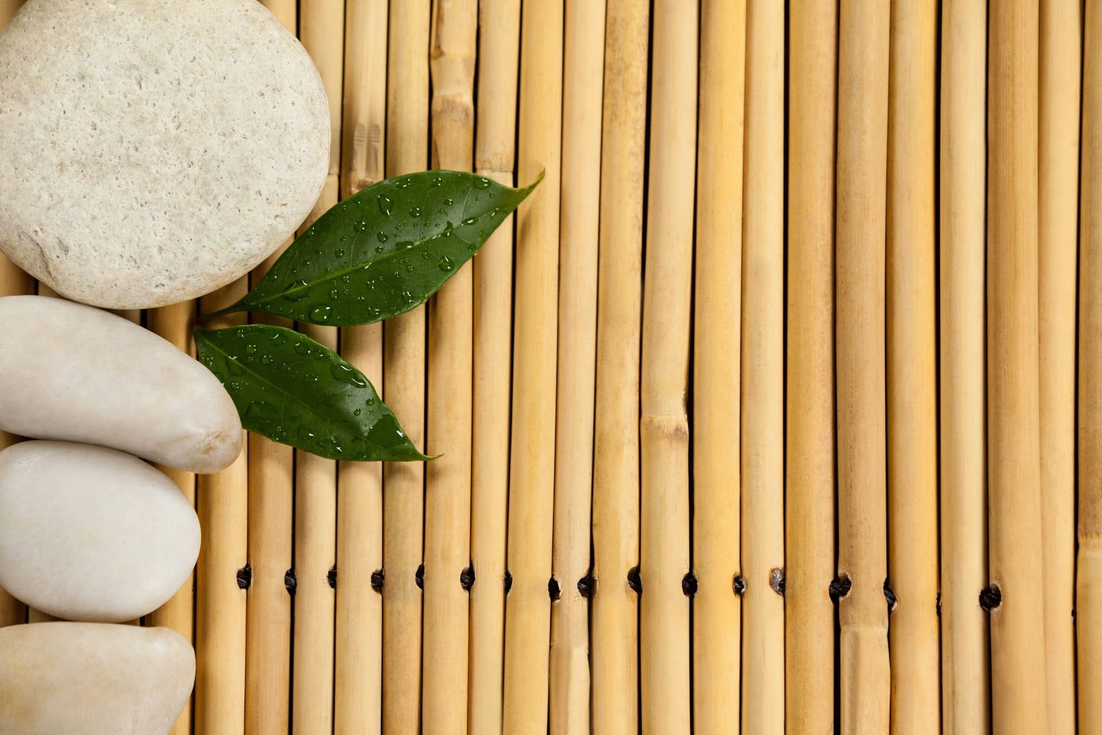 Chapel Cove Massage Annapolis
