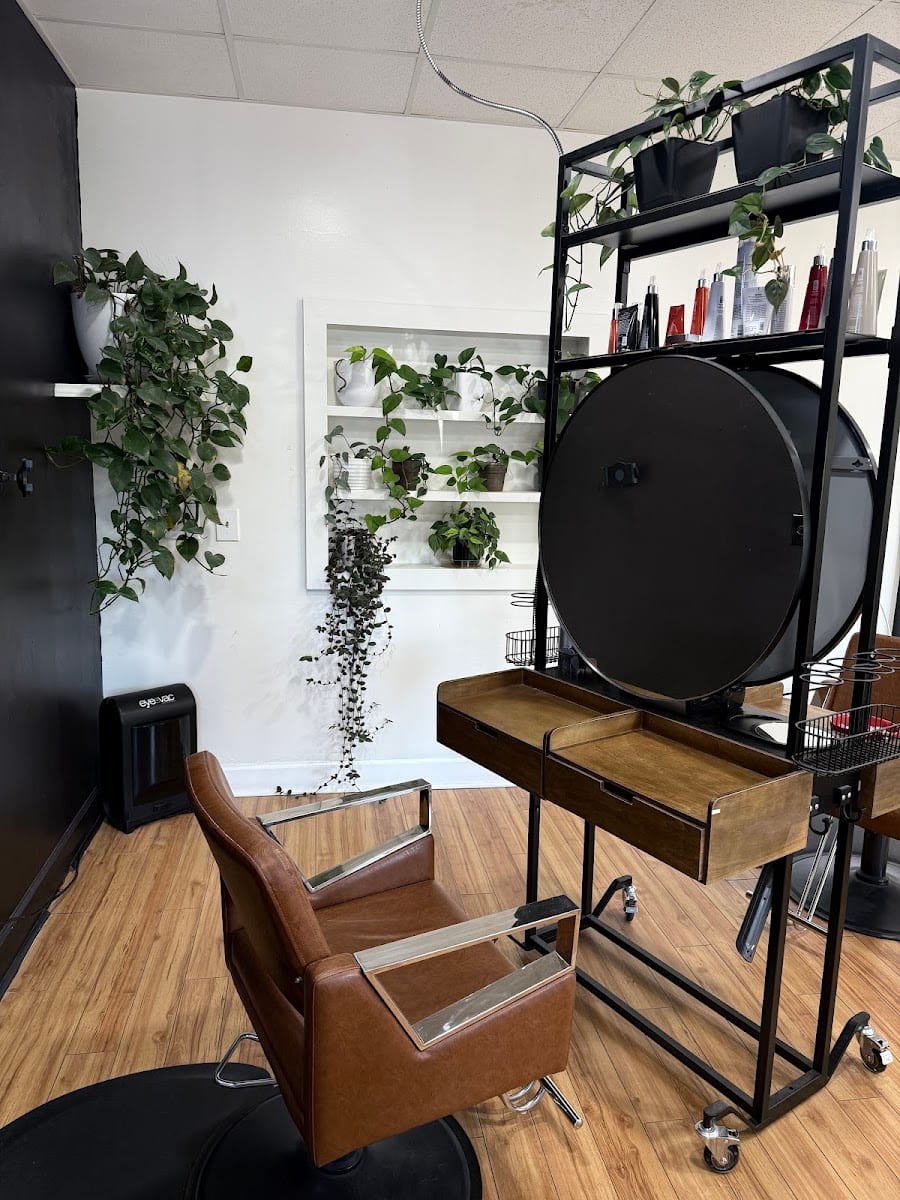 C2 a Salon