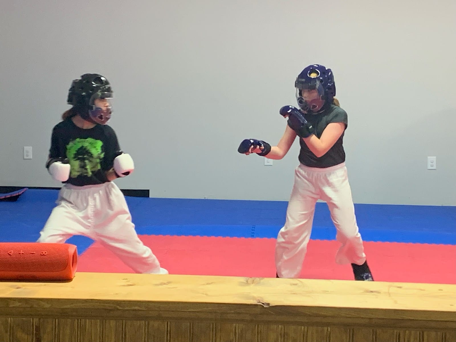 Grace Martial Arts and Adaptive Fitness