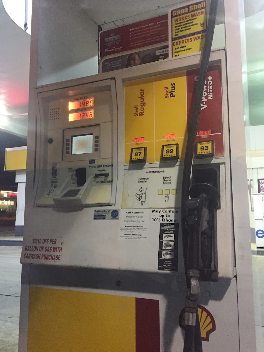 Shell, photo 3