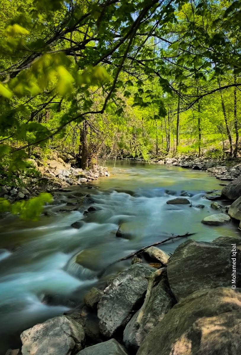 Upper Don Recreation Trail