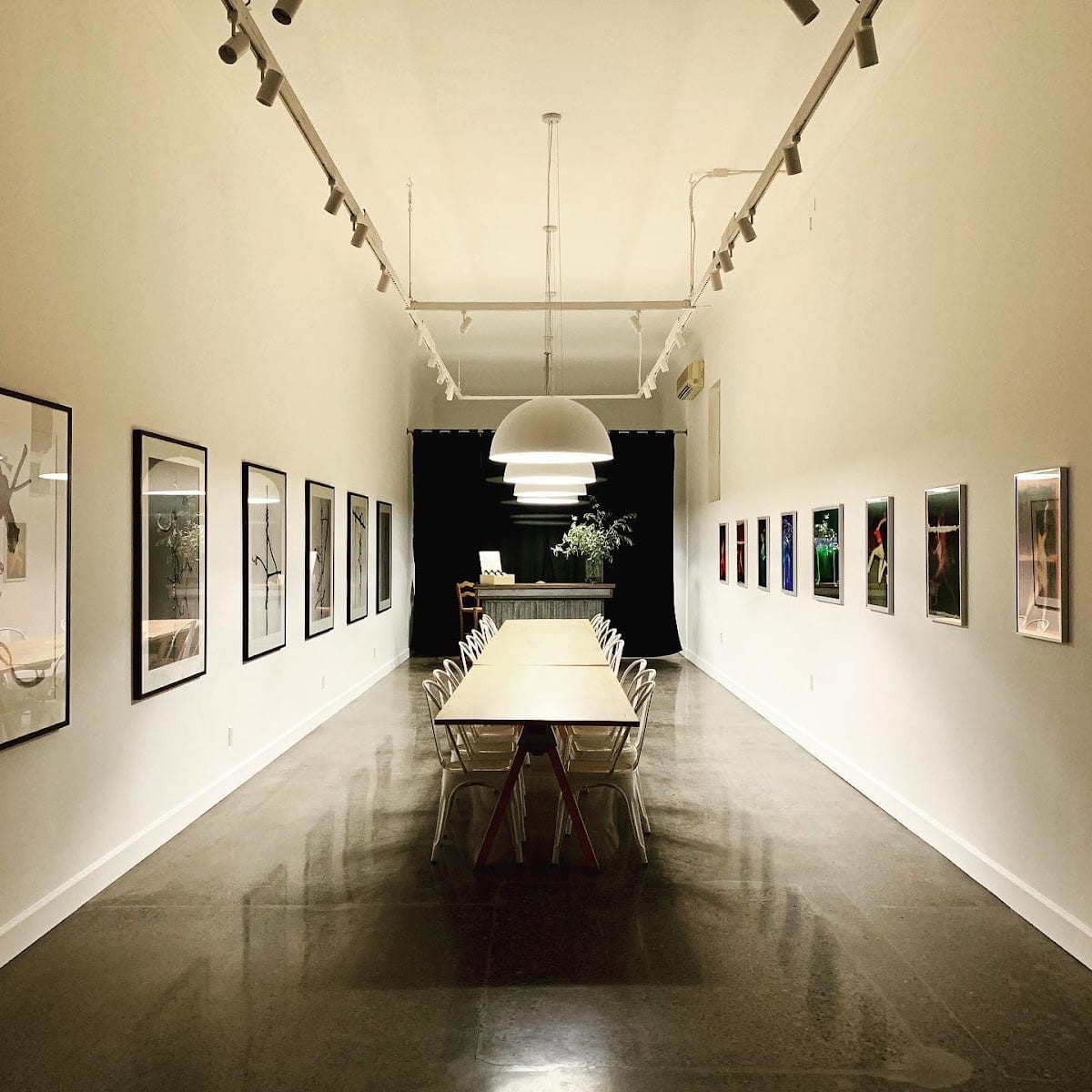 CAMi Gallery