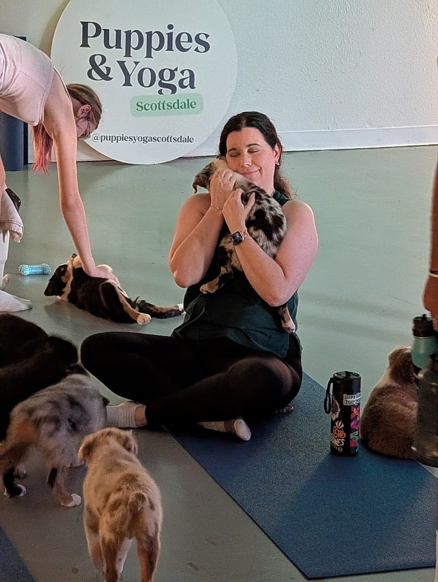Puppy Yoga Scottsdale (Puppies Yoga), photo 2