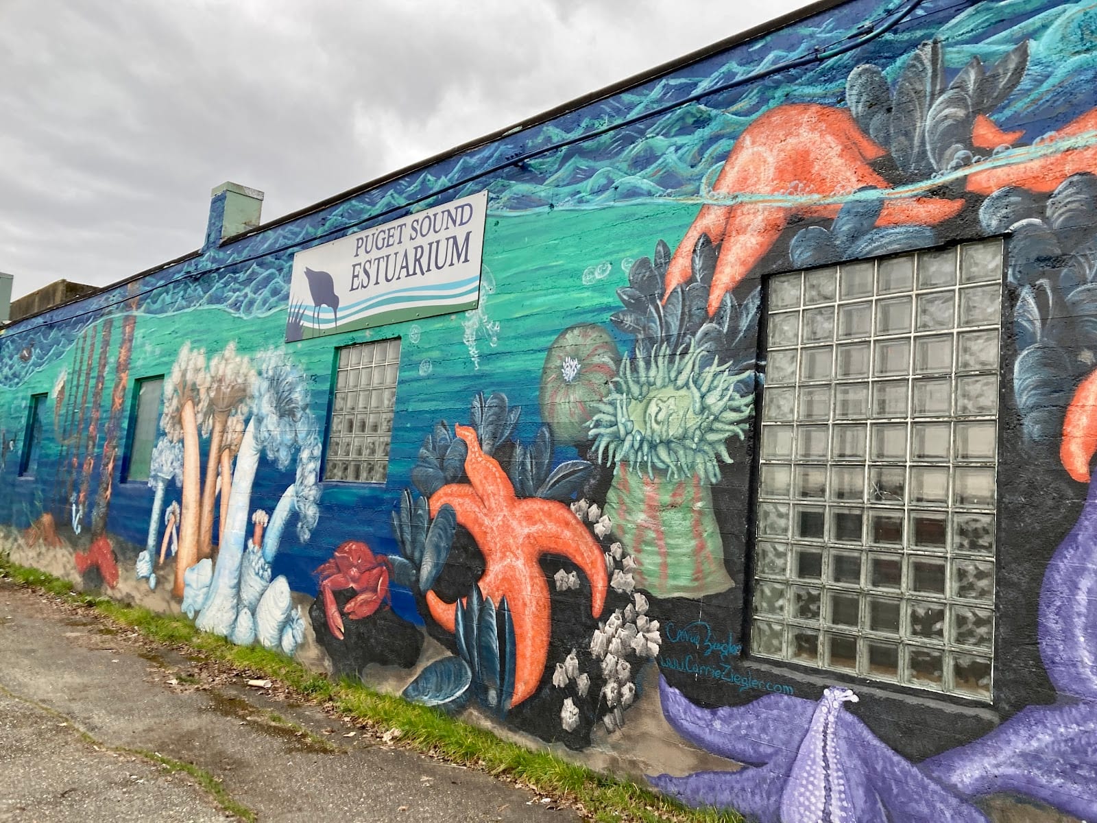 Puget Sound Estuarium, photo 2