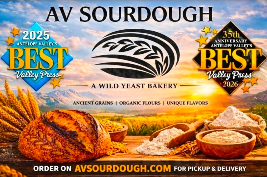 AV SOURDOUGH