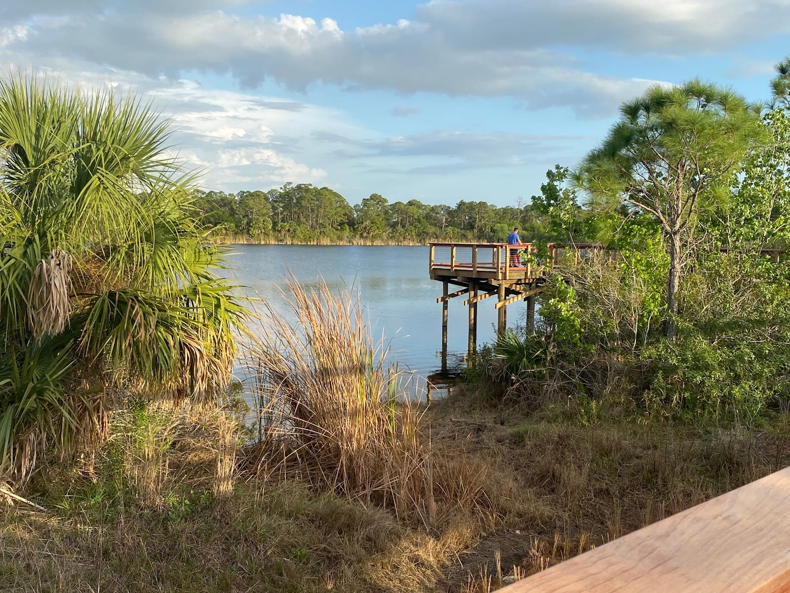 Oakheart Nature Trail at Wellen Park