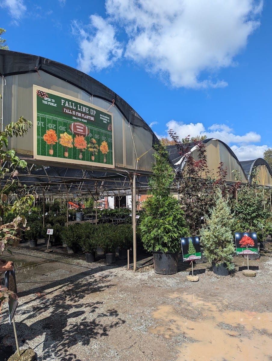 Indian Creek Wholesale Nursery