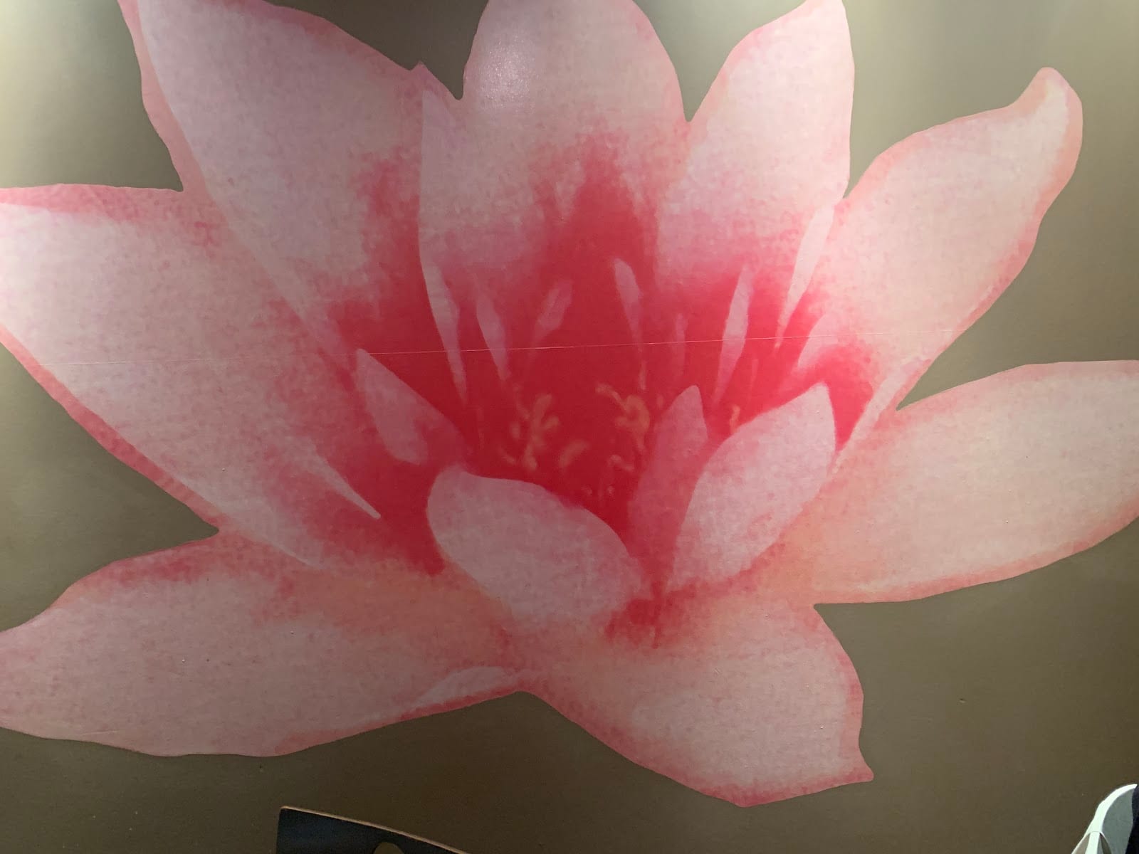 Fantastic China, photo 3