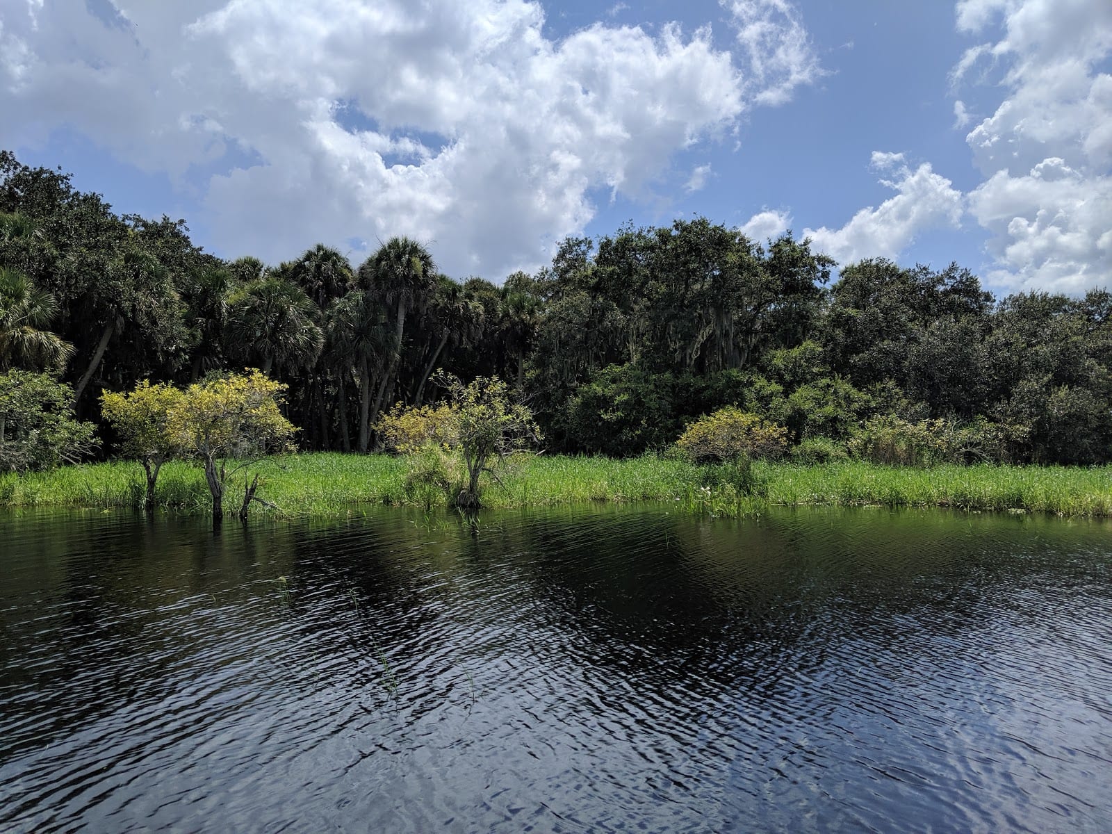 Myakka River State Park Birdwalk, photo 3