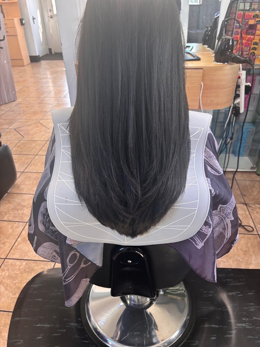 Family Cuts, photo 2