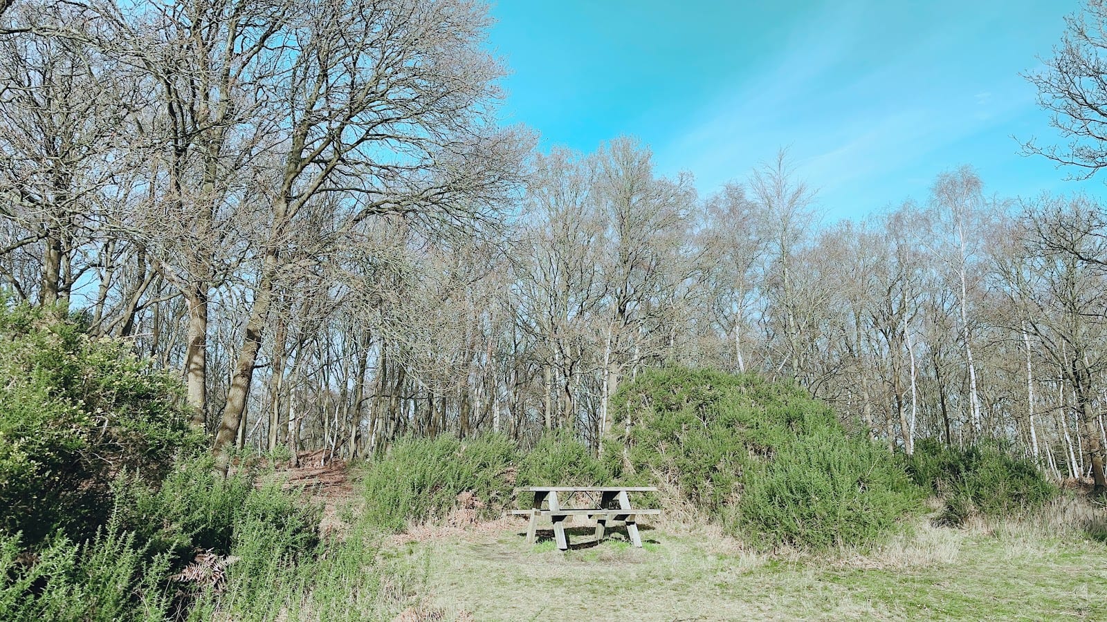 Mousehold Pitch and Putt, photo 2