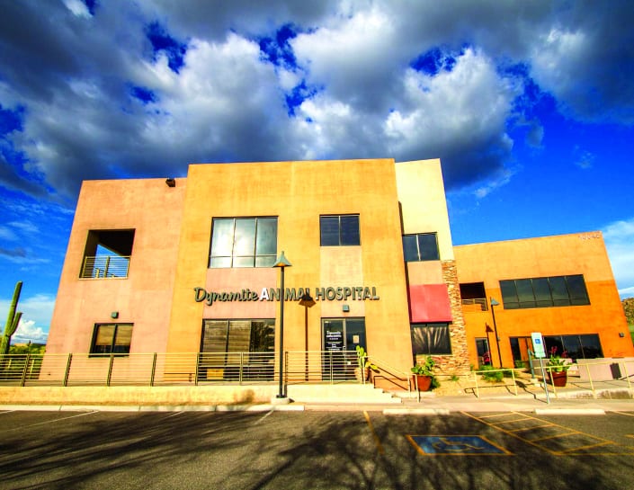 Dynamite Animal Hospital, photo 2