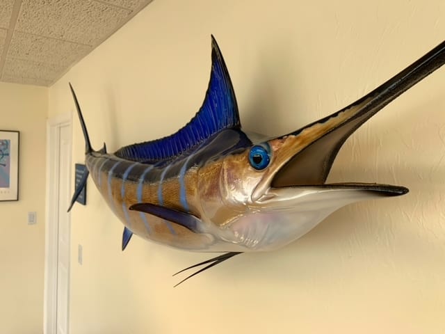 Gulf Coast Chiropractic Center, photo 3