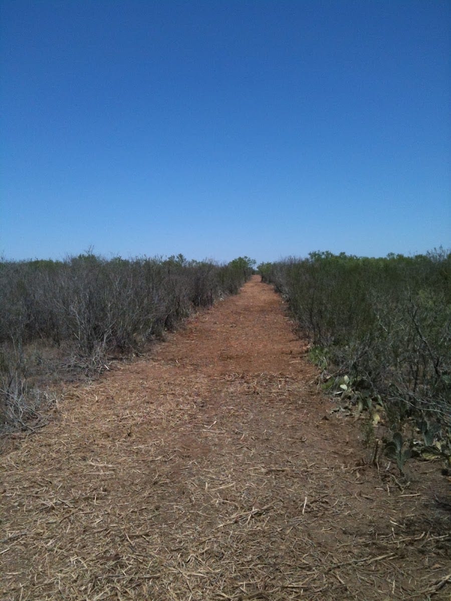 Enviro Clear Land Clearing, Inc.