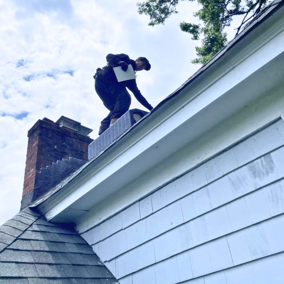 UrbanX Pest & Wildlife Removal, photo 4