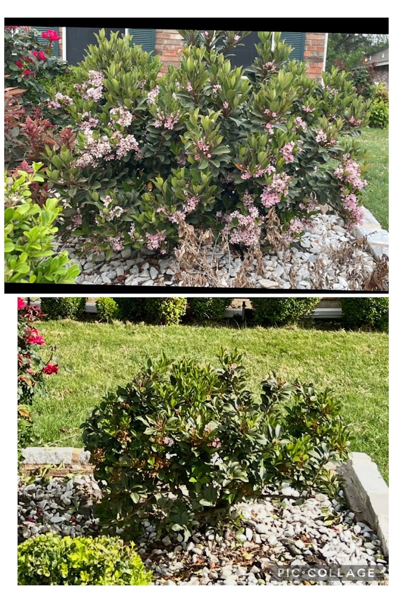 Meier's Landscape Maintenance, photo 4