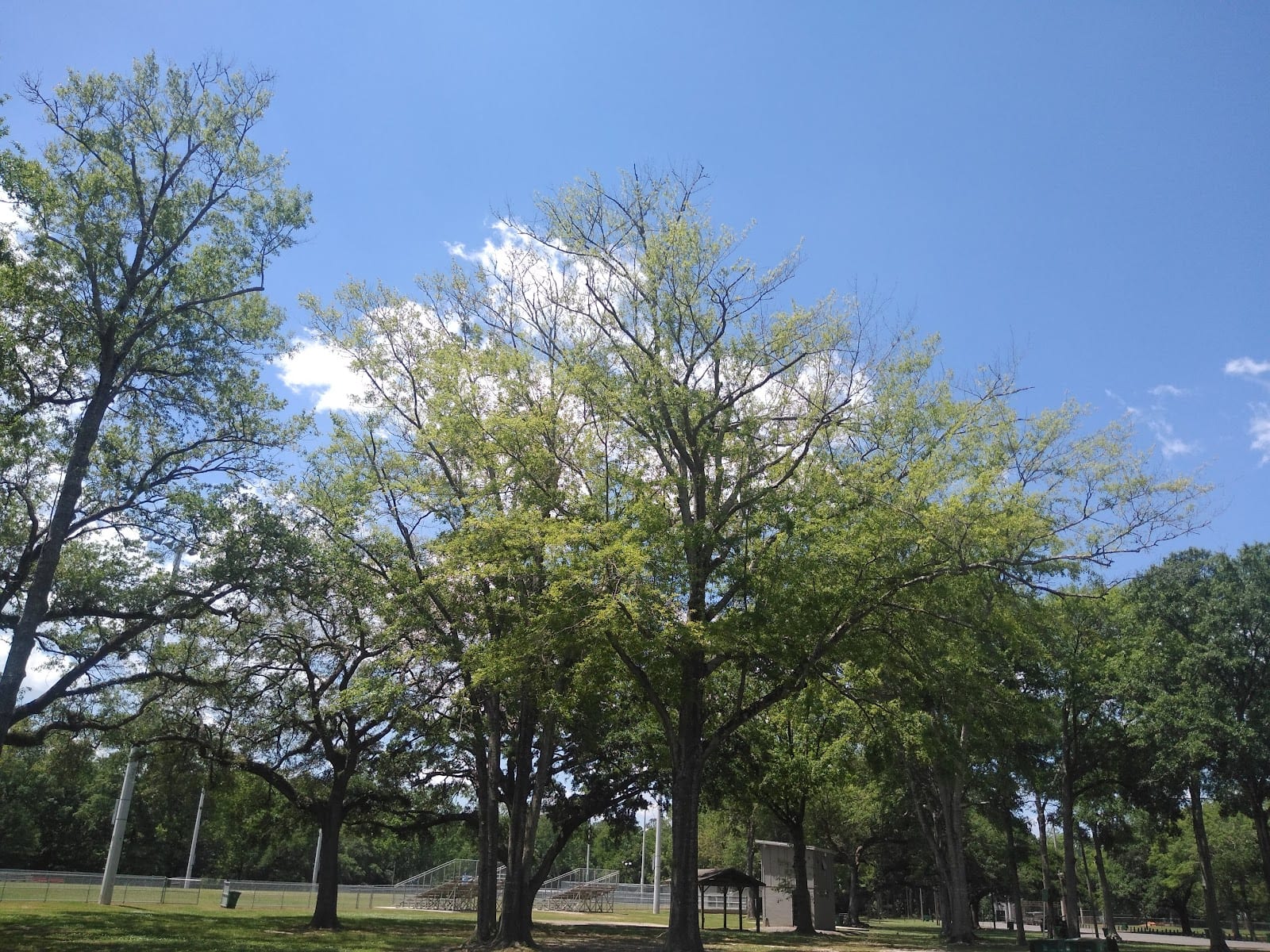 Maitre Park, photo 3