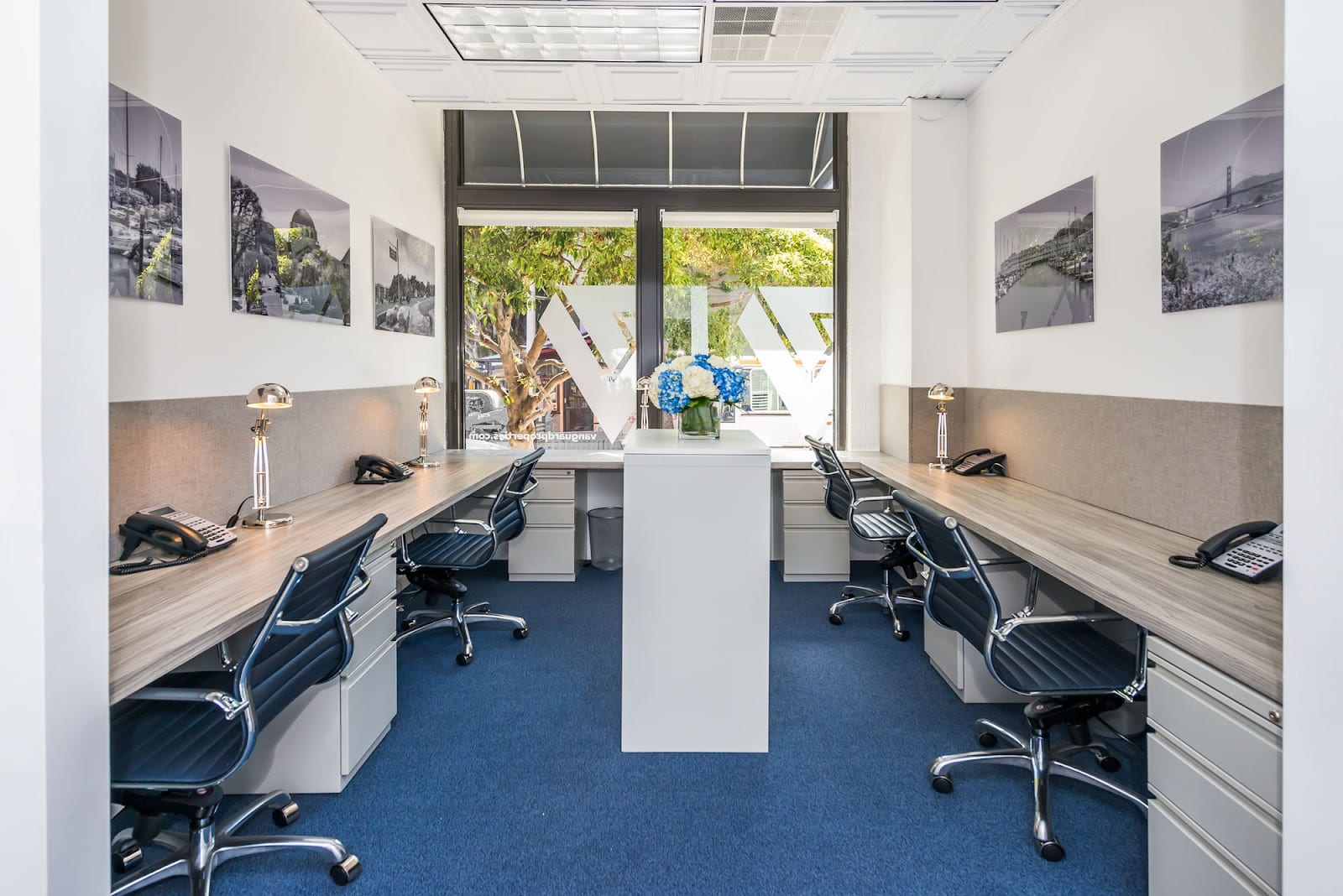 Vanguard Properties, photo 3