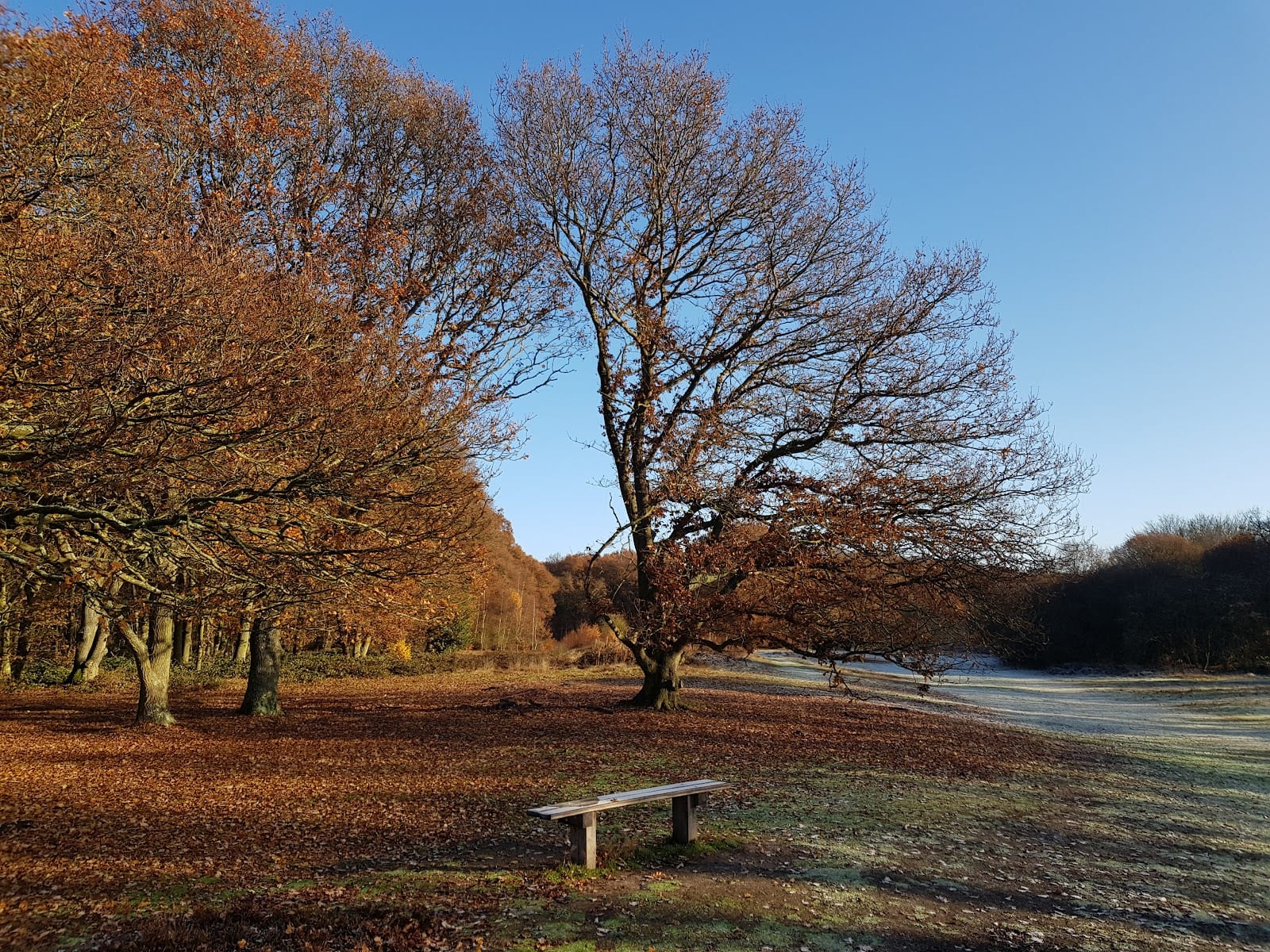 Nomansland Parking, photo 2