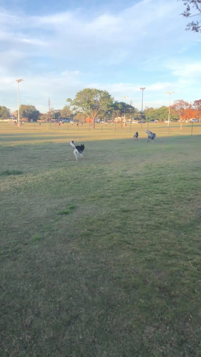 Clapp- Hub City Dog Park, photo 3