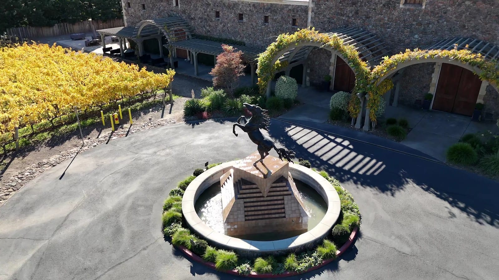 Black Stallion Estate Winery, photo 2