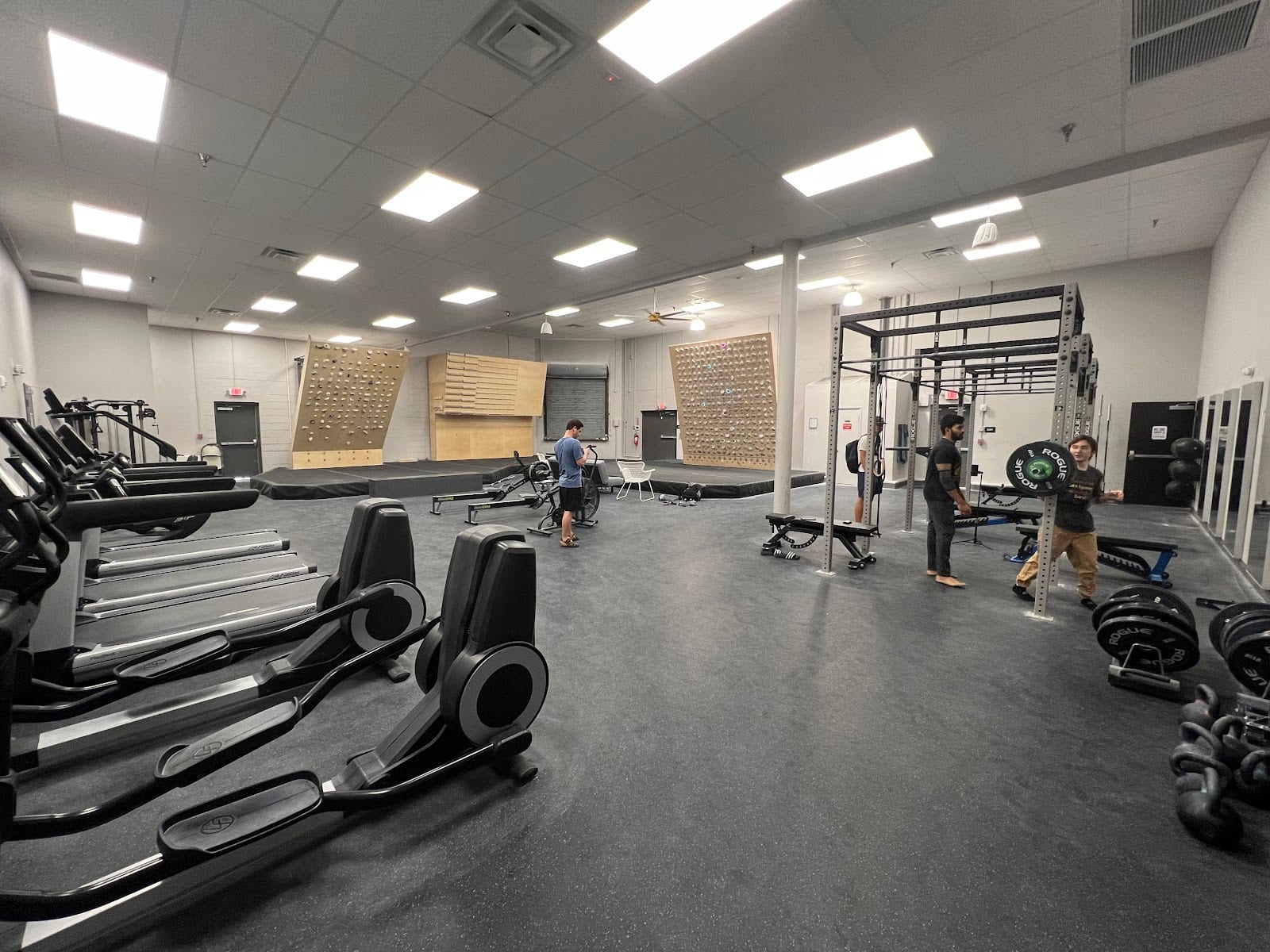 Central Rock Gym - Tampa