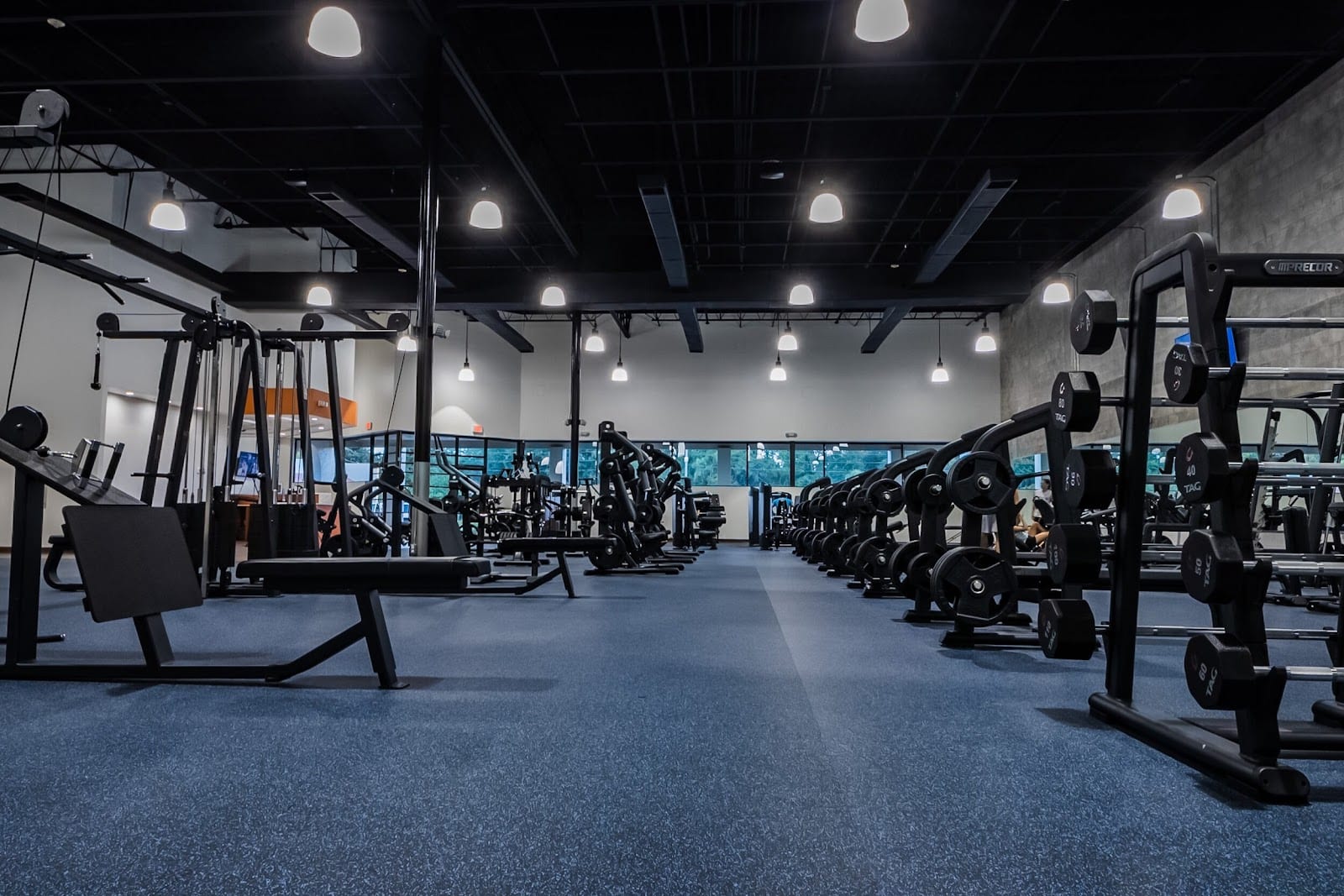 BayFit, photo 2