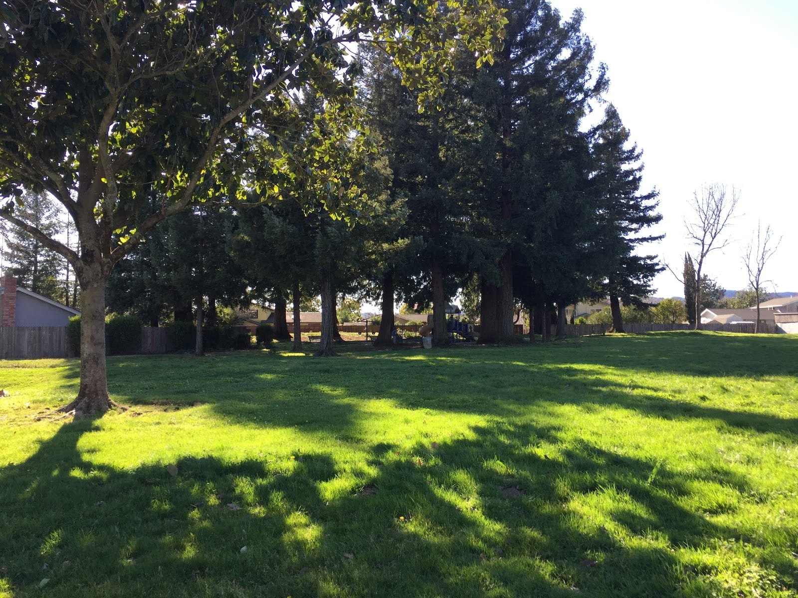 Solomon Park, photo 3