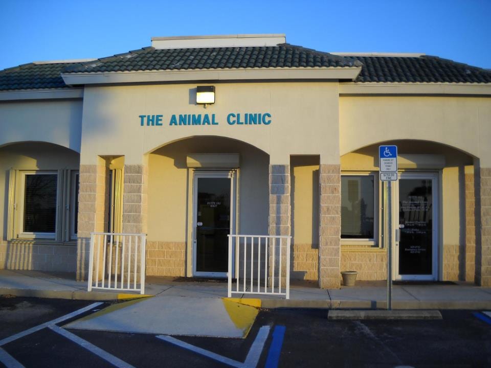 The Animal Clinic