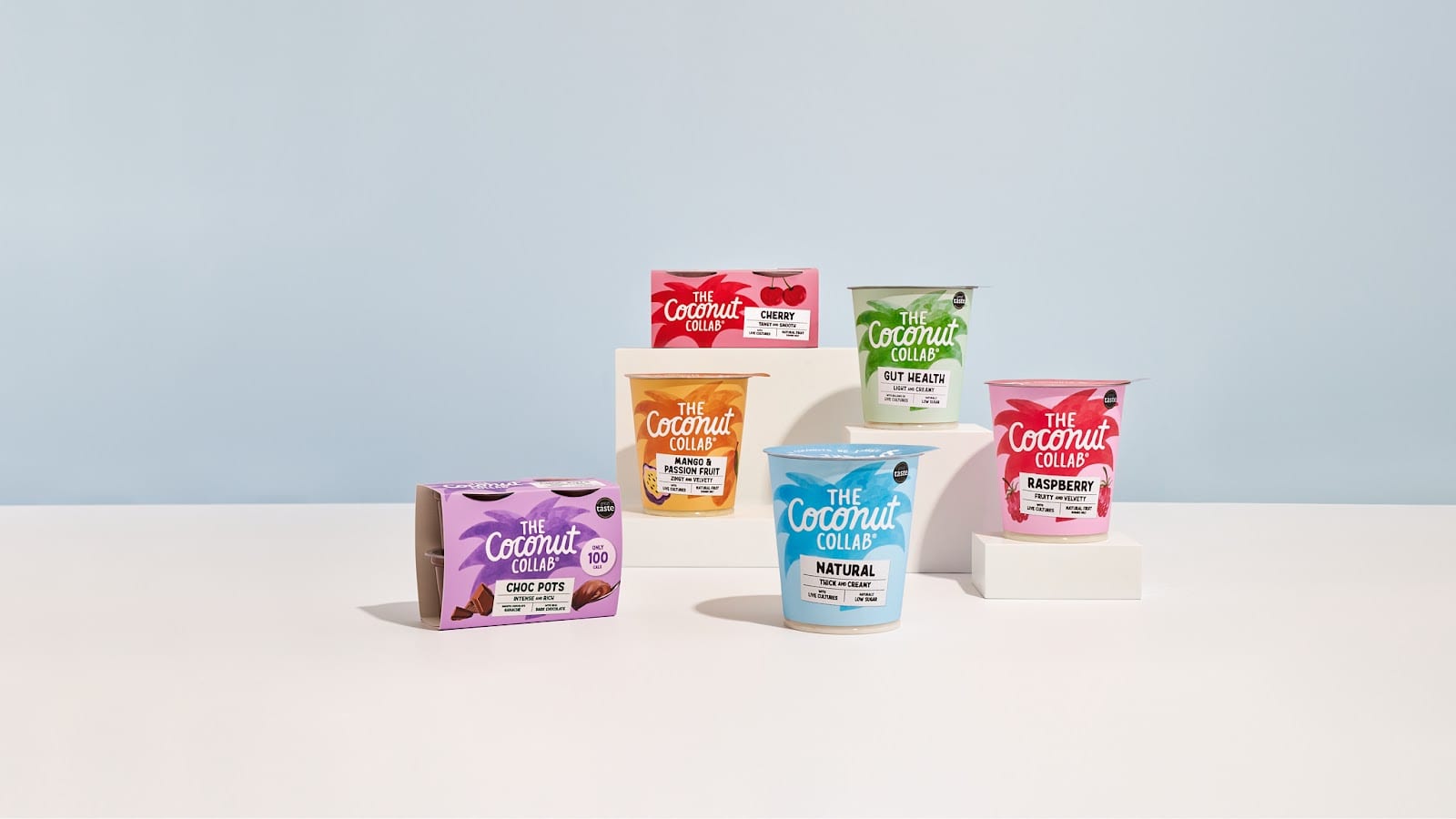 The Coconut Collab, photo 3