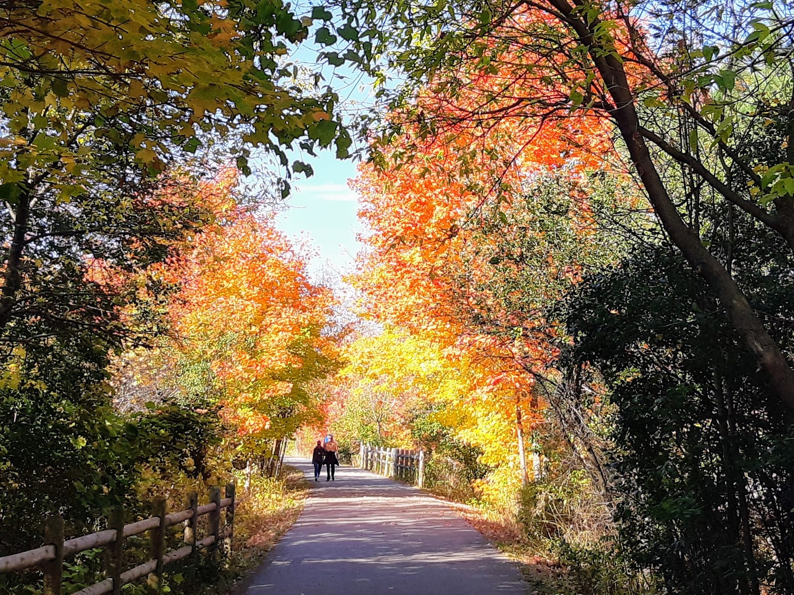 Don Mills Trail