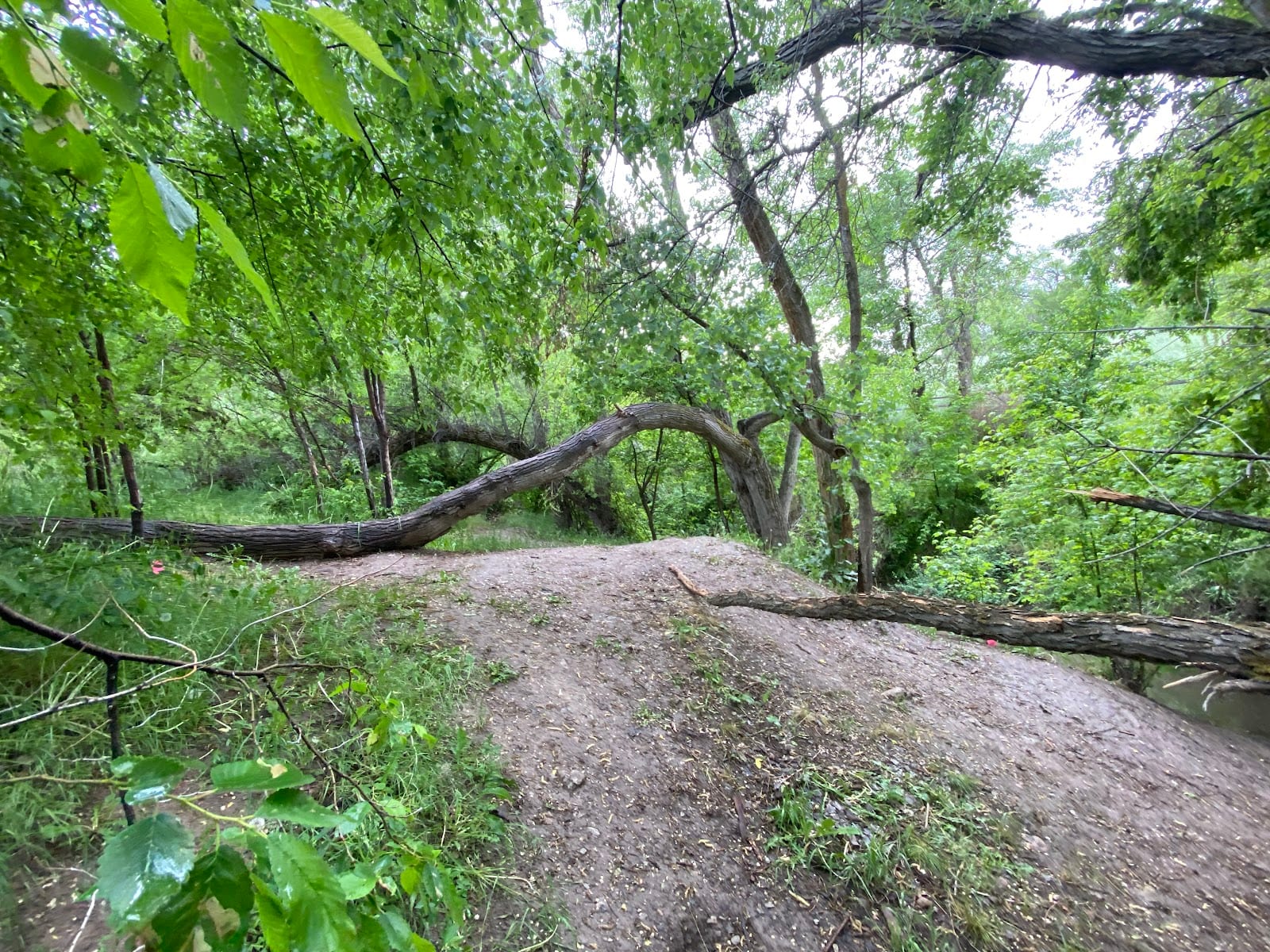 Wasatch Hollow Preserve