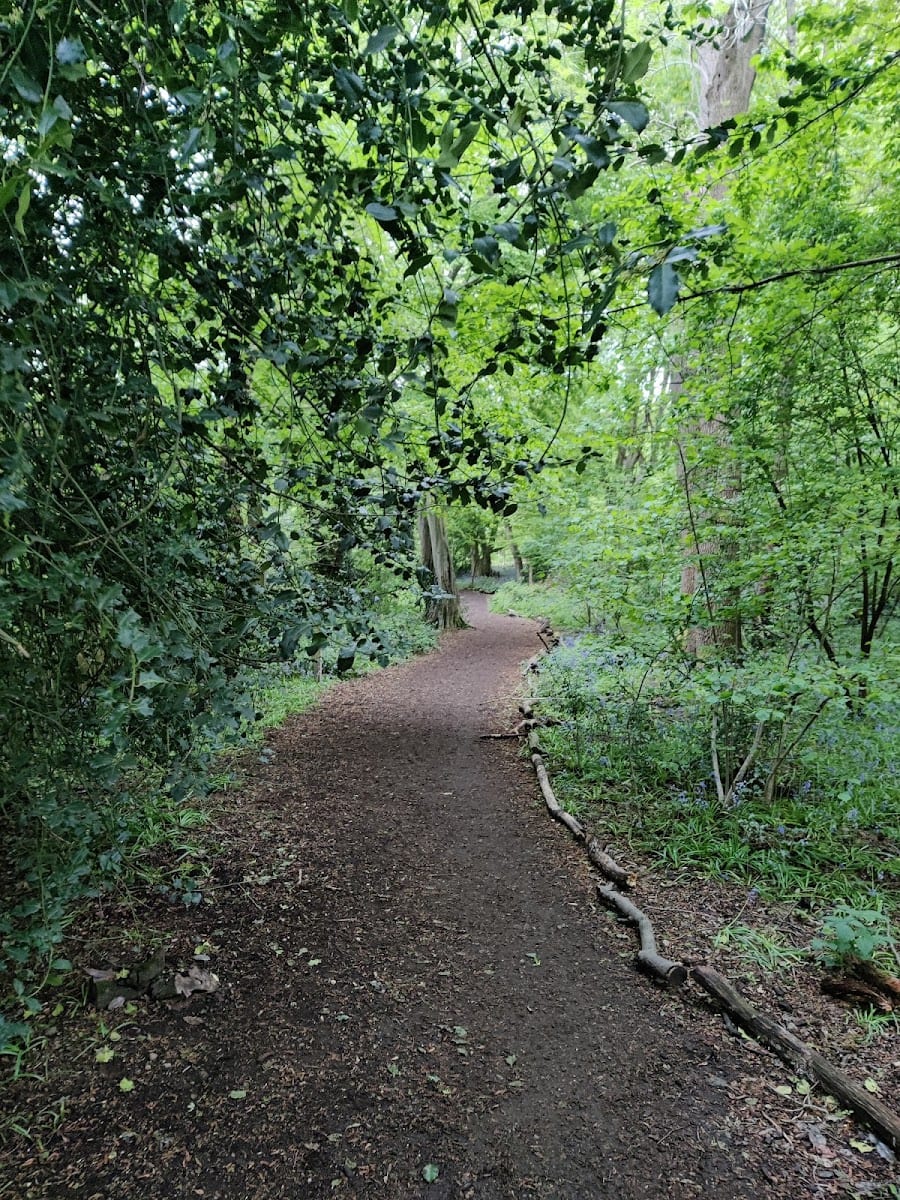 Greenwood Park