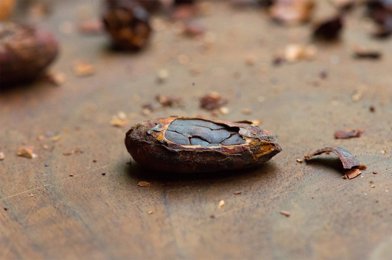 SOMA chocolatemaker, photo 2