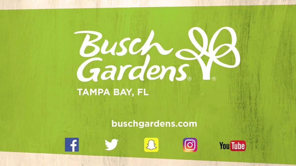 Busch Gardens Tampa Bay, photo 3